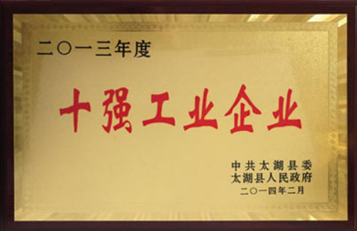 十強(qiáng)工業(yè)企業(yè).jpg